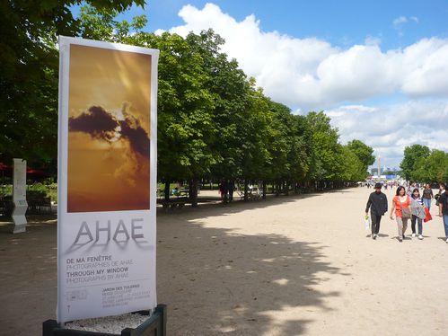 2012-07-06-Ahae Tuileries (48)