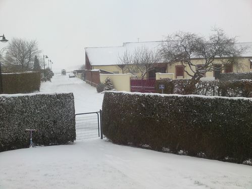 P18-12-09_09.59.JPG