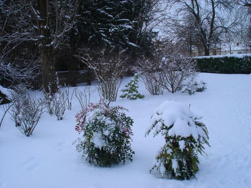 Photo-073-3.jpg