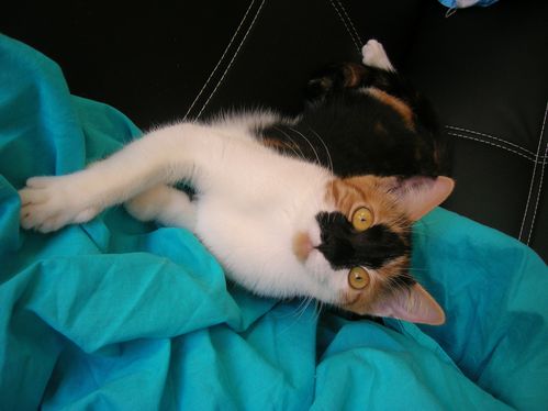 DSCN1487.JPG