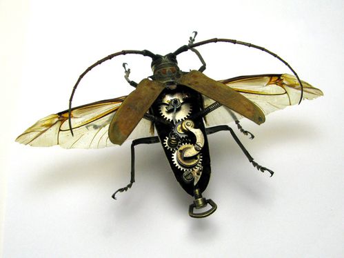 Insecte steampunk 2