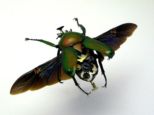 Insecte steampunk 4