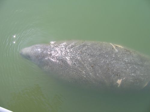 Florida 04-22-2010 002