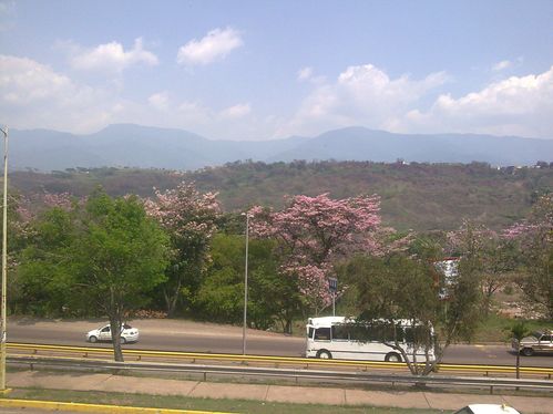 Imagen008-copie-1
