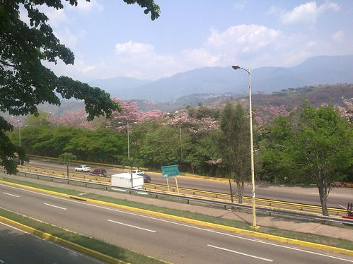 Imagen010