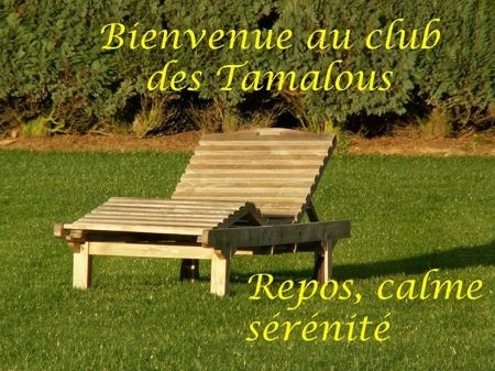 AA tamalous-copie