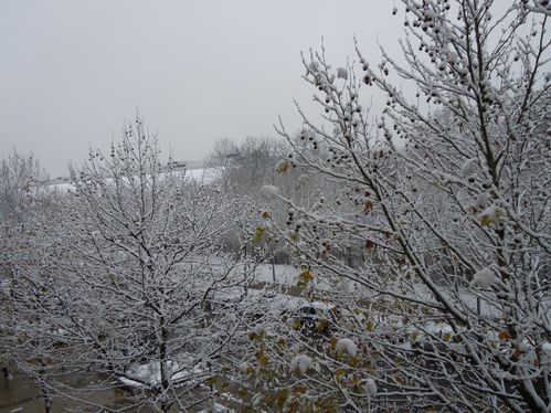 DSCN0295.JPG