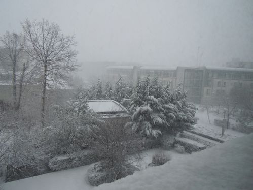 DSCN0372.JPG
