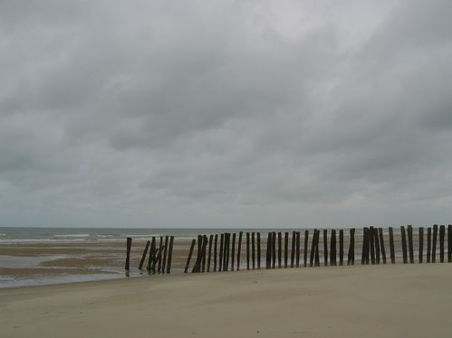 Photos > du land art > non, du sand art, Ã sangatte sur la plage ... Désign manger à salle Bois