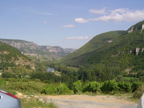 Rivière sur Tarn, Vue sur le vallée de la vigne du Vieux Noyer