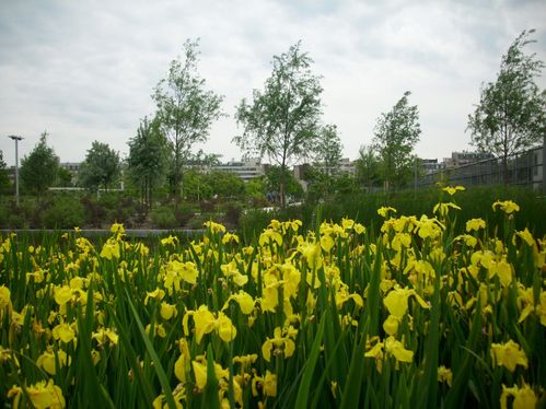 Parc-Clichy-Batignolles.jpg