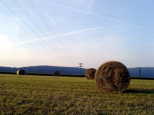 paysage corrigé