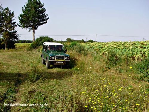 Land-Fred-2.jpg
