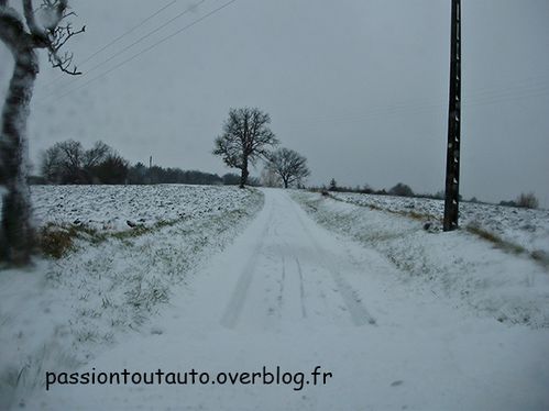 Paysage-2.jpg