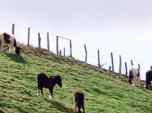 P3270097-3
