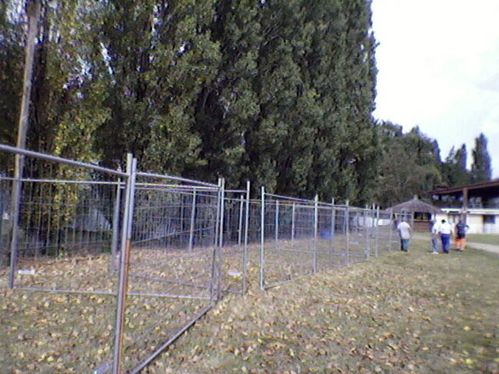 Photos-0010