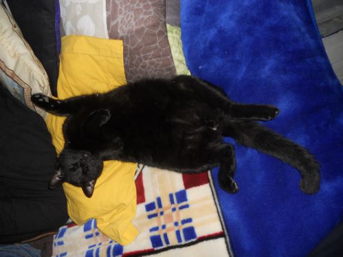 DSCN4729.JPG