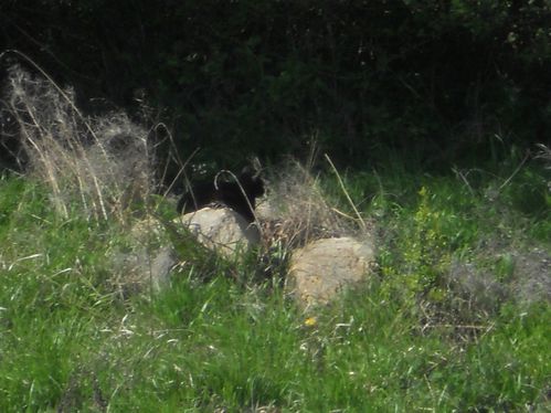 DSCN5543.JPG