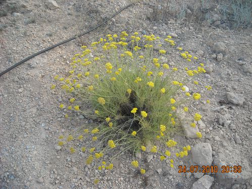 DSCN3790.JPG
