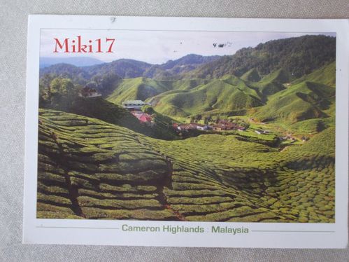 Carte-Malaisie-Miki-Mamigoz.jpg