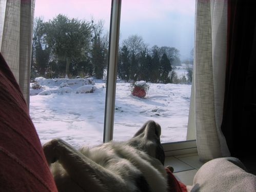Trop-fatiguee-sous-la-neige--.JPG