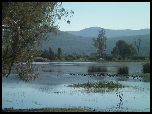 parc-el-kala-tonga.jpg