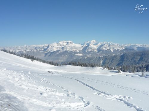 Sortie-raquettes-Semnoz---11_01_10-001_signee.jpg
