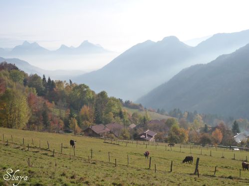 Couleurs-d-automne-022_signee.jpg