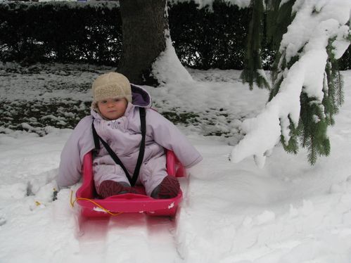 Luge à Grenoble 009