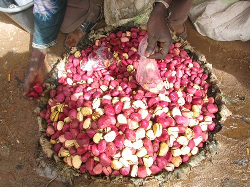 semaine au Pays Dogon Mali 006