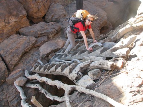 semaine au Pays Dogon Mali 178