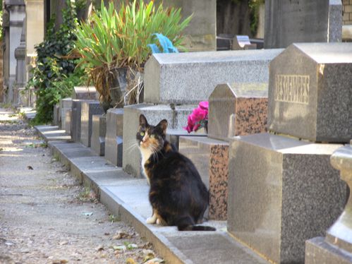 Cimetiere-Montmartre.JPG