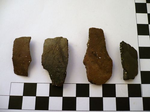 Plaques costales de Thalassemys sp. 1a