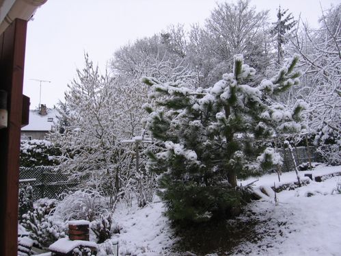neige-sur-mereville-13-2-09-004.jpg
