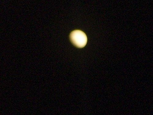 SSA40307.JPG