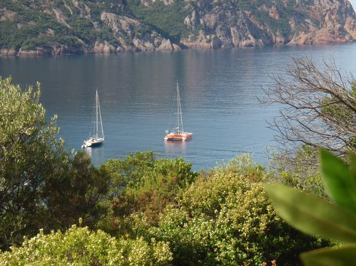 http://img.over-blog.com/500x374/1/58/65/29/La-Girolata/la-girolata4.jpg