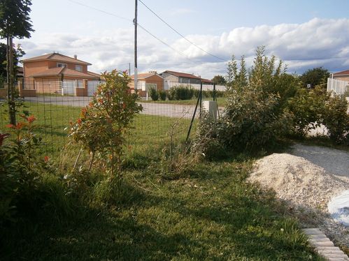 eleagnus 1 juillet 2012