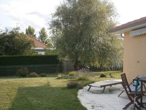 jardin soleil voilé juillet 2012