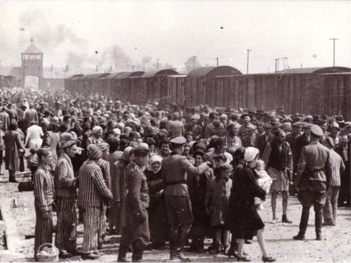 auschwitz hongrois2