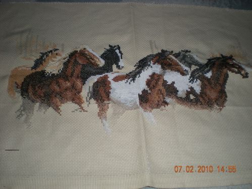 2010-01-chevaux