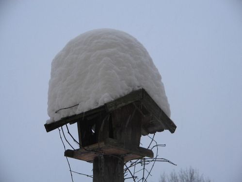Vogelhäuschen