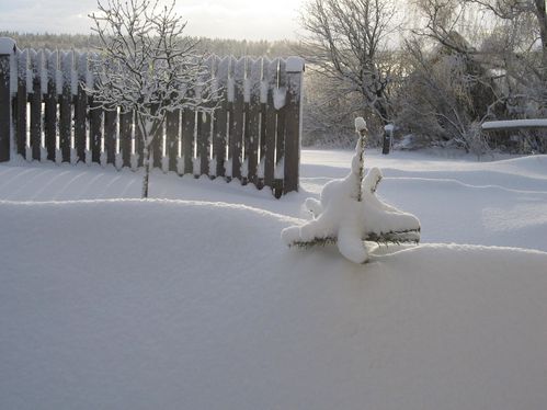 verschneiter Garten 001