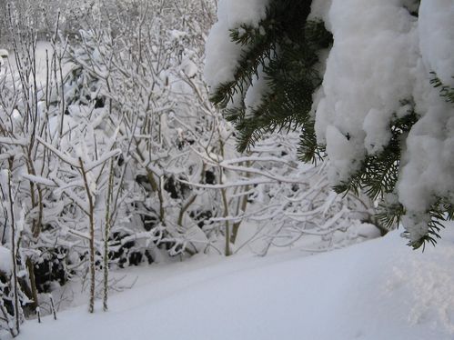 verschneiter Garten 002