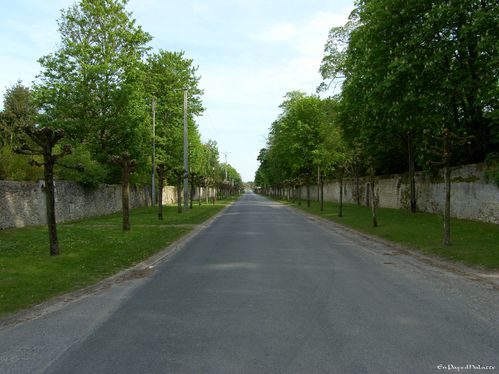 Chamant avenue du Marechal Foch