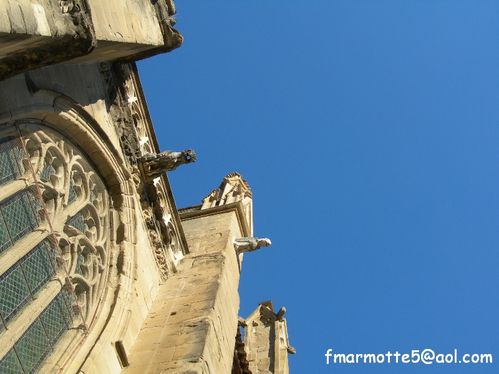 Saint Antoine gargouille 01