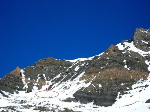 Chamois au Clot des chamois