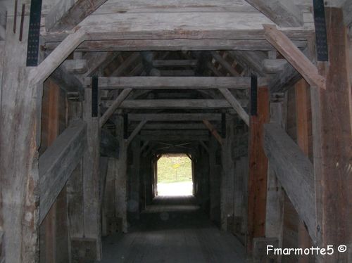 Pont qui branle Sarine