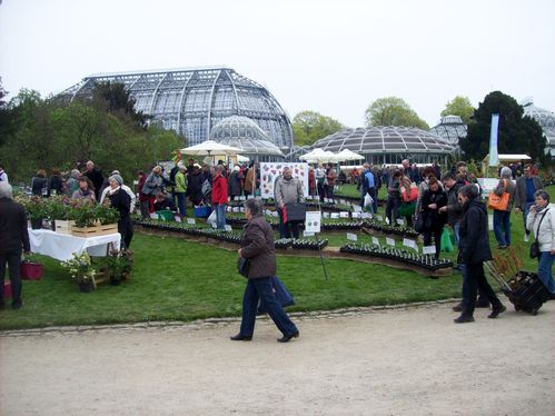 Botanischer-Garten-2014-04-05-008.JPG