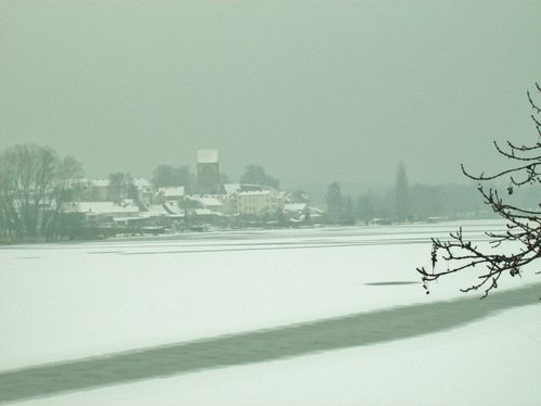 Lychen-im-Winter-005.JPG