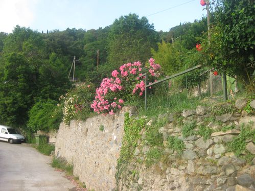 la-Corse--suite--7665.JPG